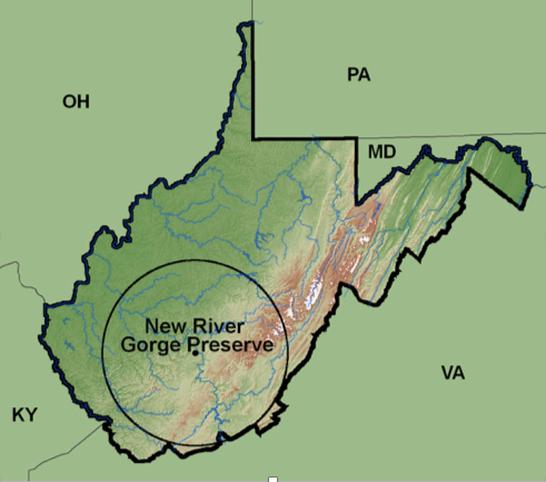 Screen_Shot_2016-12-16_at_4.53.45_PM